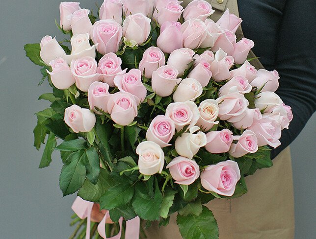 51 pale pink roses 50 cm photo