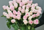 51 pale pink roses 50 cm — photo 3