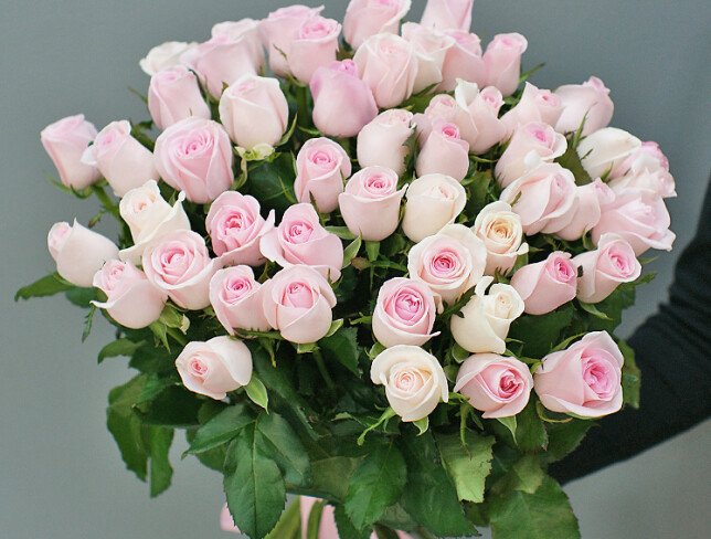 51 pale pink roses 50 cm photo