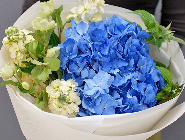 Bouquet of blue hydrangea and matthiola photo