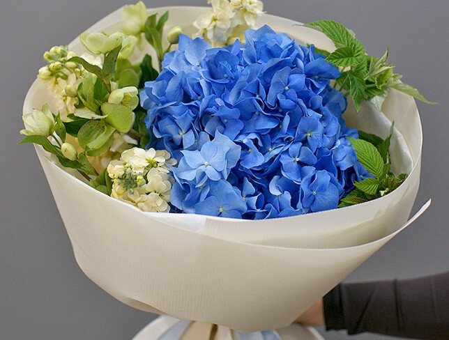 Bouquet of blue hydrangea and matthiola photo