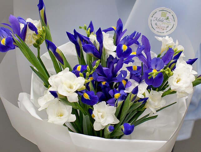 Bouquet of purple irises and white freesias photo