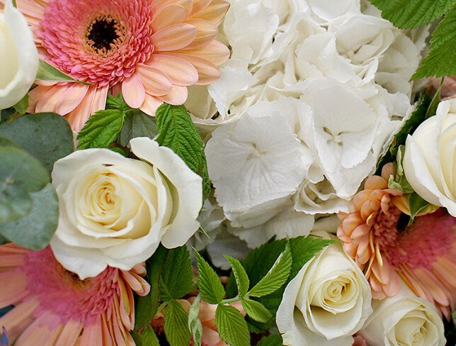 Bouquet of white hydrangea and pale pink gerberas photo