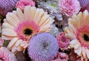 Buchet cu trandafiri de tufa roz si gerbere — foto 2