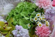 Buchet cu hortensie verde, matiole si diantuse roz — foto 2