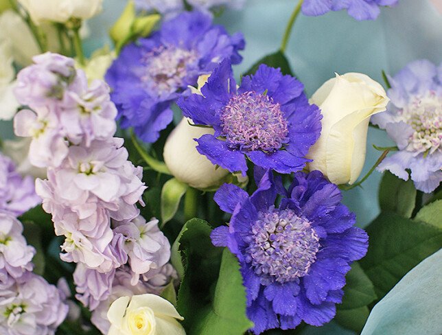Buchet din scabiosa, trandafiri si matthiola „Simfonie senina” foto