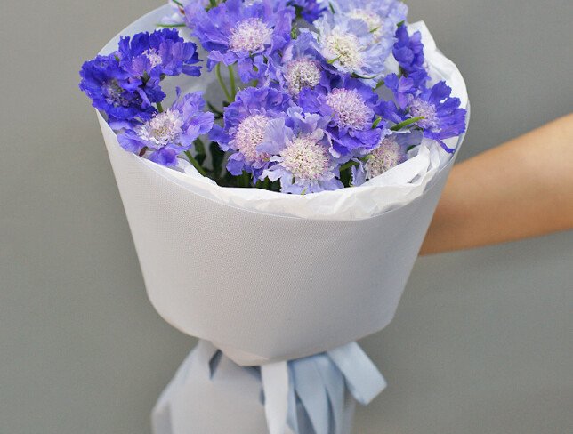 Buchet de scabioza violeta „Ecoul delicatetii” foto