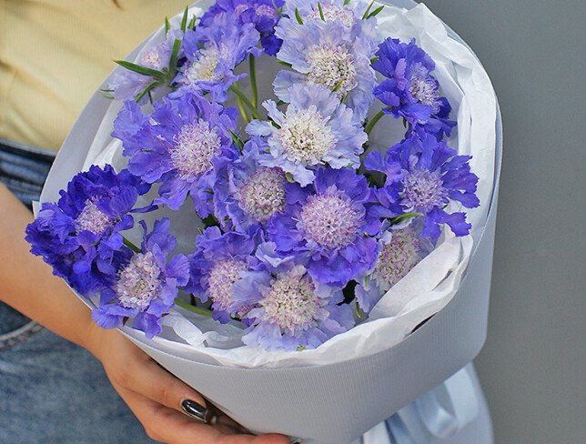 Buchet de scabioza violeta „Ecoul delicatetii” foto