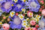 Bouquet of pink spray roses and scabiosa "Little Joys" — photo 3