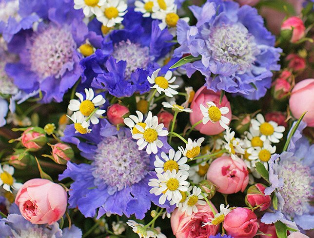 Bouquet of pink spray roses and scabiosa "Little Joys" photo