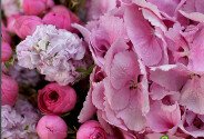 Buchet din hortensie roz, trandafiri de tufa roz si matiole — foto 4