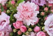 Buchet din diantuse roz, trandafiri de tufa roz si eustoma roz — foto 2