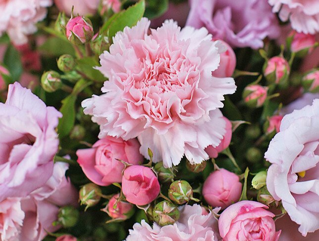 Buchet din diantuse roz, trandafiri de tufa roz si eustoma roz foto
