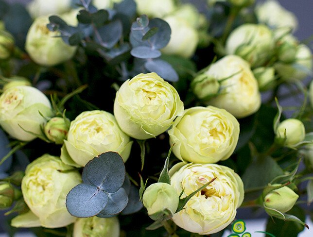 Spray roses in a vase photo