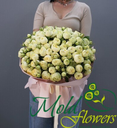 51 white peony-shaped rose photo 394x433