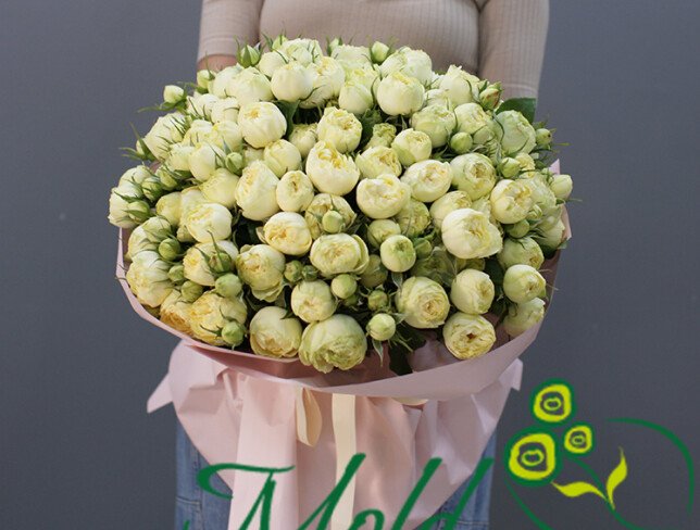 51 white peony-shaped rose photo