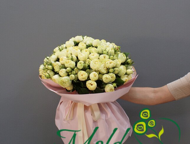 51 white peony-shaped rose photo