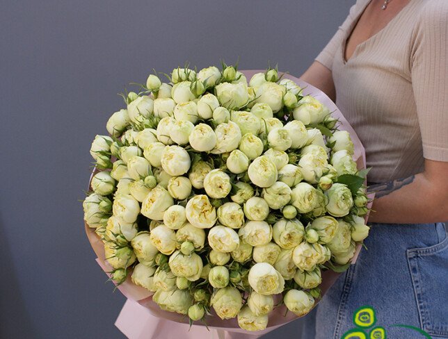 51 white peony-shaped rose photo