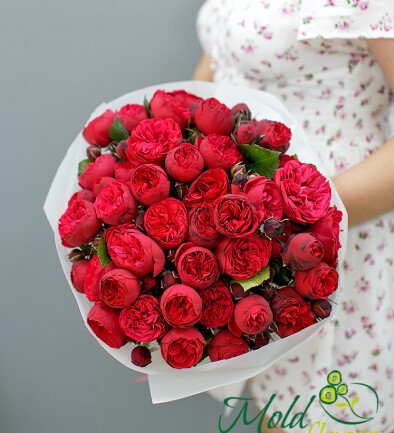 Buchet din trandafiri rosii de tip bujor „Red Piano” foto 394x433