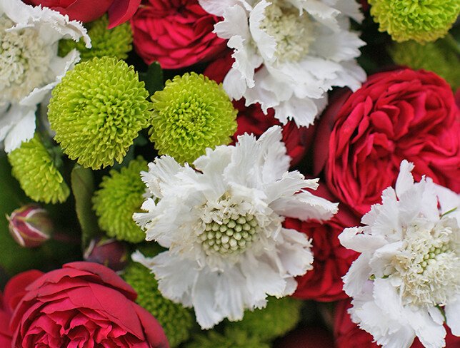 Buchet din trandafiri de tip bujor, crizanteme si scabioza foto