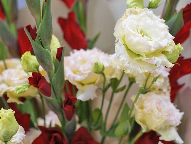 Bouquet of red gladioli and cream eustomas photo
