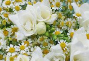 Bouquet of white freesias and wild daisies — photo 2