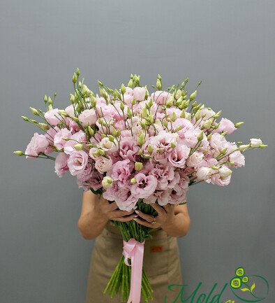 Buchet cu 51 eustoma roz foto 394x433