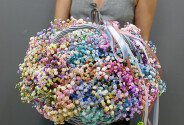 Cos cu gypsophila multicolora „Respiratie de curcubeu” — foto 1