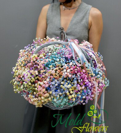 Cos cu gypsophila multicolora „Respiratie de curcubeu” foto 394x433