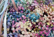 Cos cu gypsophila multicolora „Respiratie de curcubeu” — foto 3