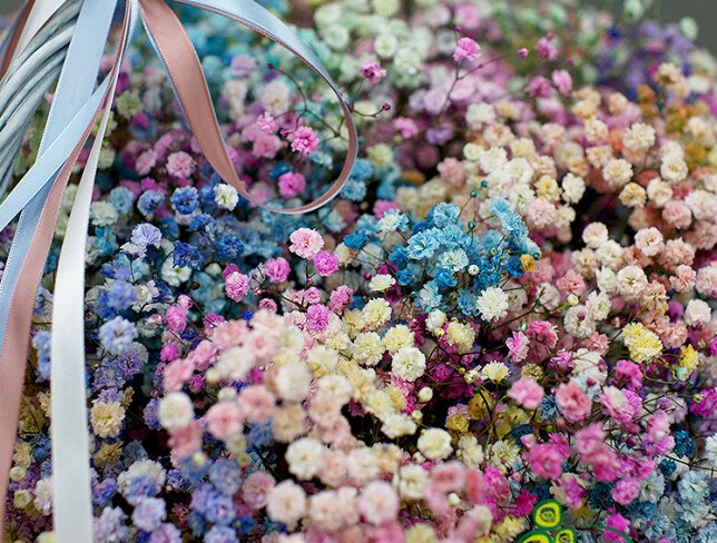 Cos cu gypsophila multicolora „Respiratie de curcubeu” foto