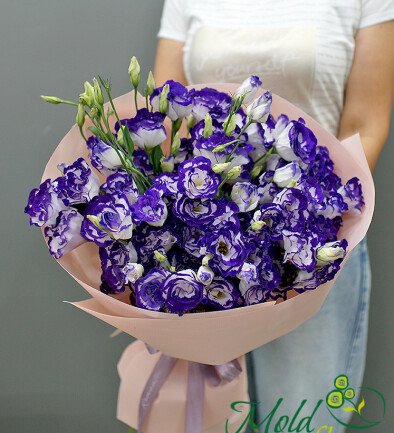 Buchet din 15 eustoma alb-violet foto 394x433