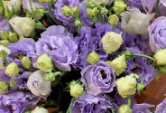 Buchet din 15 eustoma mov — foto 2