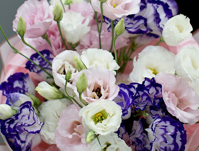 Buchet din eustoma multicolora „Melodia culorilor” foto