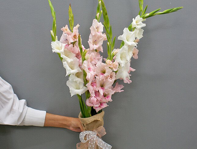 Bouquet of pink and white gladiolus photo