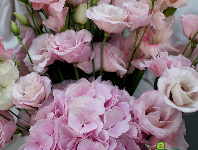 Bouquet with hydrangea, lisianthus, and pink gladiolus photo