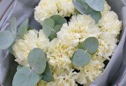 Buchet din dianthus galben pal — foto 2