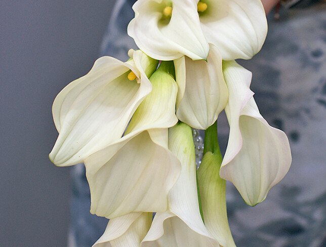 Buchet delicat de mireasa, rotund, din cale albe foto
