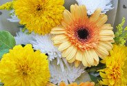 Buchet din floarea-soarelui galbene si gerbere — foto 2