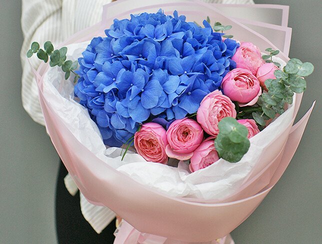 Bouquet of blue hydrangea and Silva Pink roses photo