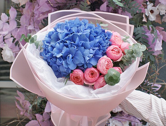 Bouquet of blue hydrangea and Silva Pink roses photo