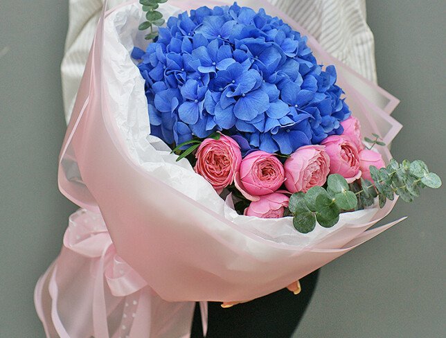 Bouquet of blue hydrangea and Silva Pink roses photo