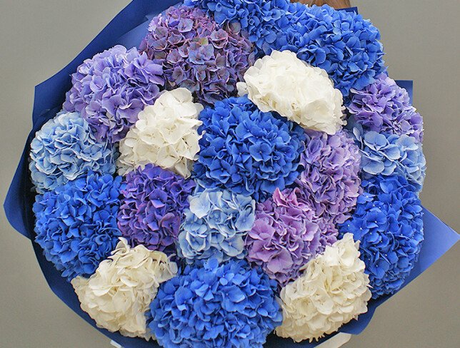 Bouquet of 19 colorful hydrangeas (pre-order, 10 days) photo