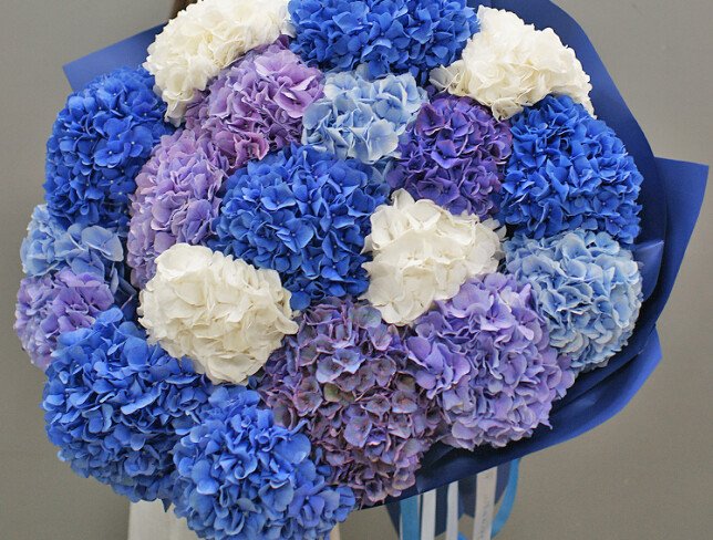 Bouquet of 19 colorful hydrangeas (pre-order, 10 days) photo