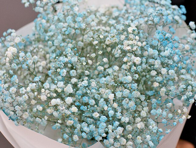 Bouquet of blue gypsophila "Dream’s Lightness" photo