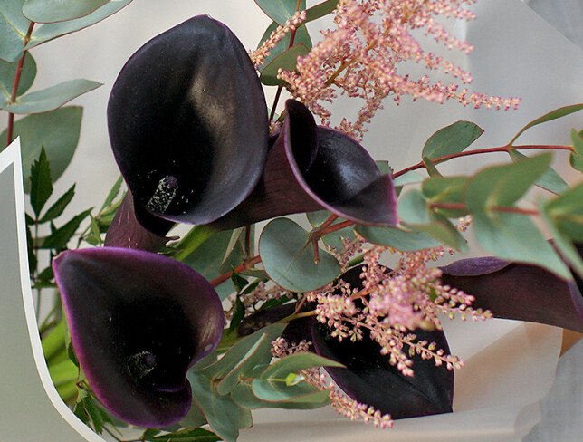Buchet din cale „Accent negru” foto