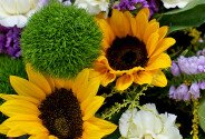 Buchet din floarea-soarelui si dianthus „Lectia insorita” — foto 3