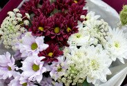 Buchet din crizanteme multicolore „Zi luminoasa” — foto 2
