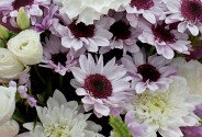 Buchet din crizanteme si dianthus albi „Sentimente calde” — foto 3