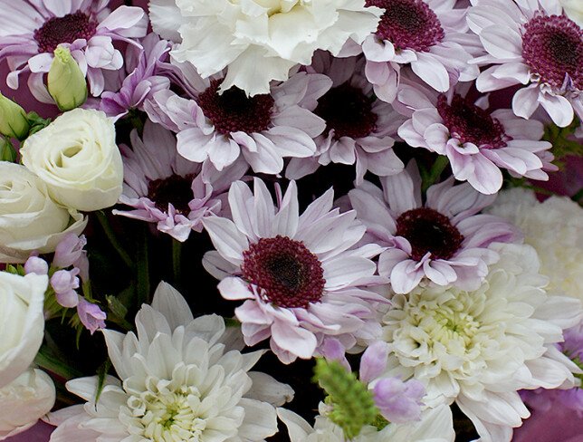 Buchet din crizanteme si dianthus albi „Sentimente calde” foto